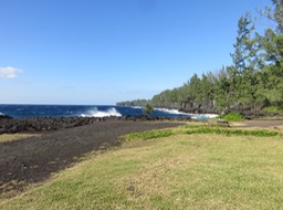 19 La forêt littorale où sinue le sentier