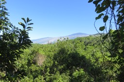 79 Massif du Volcan sans un nuage