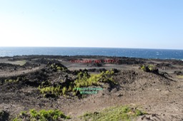 Piton Sainte Rose - Coulée de 1977