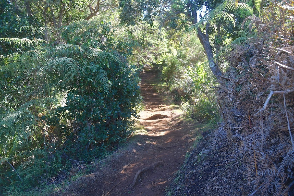 60 Sentier