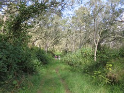 Alle de TamarinsIMG_0270