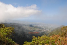 DSC_0016 (1)
