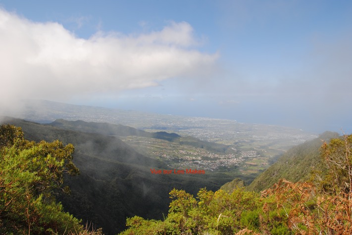 DSC_0016 (1)