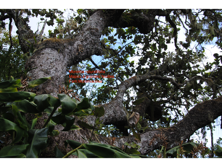 DSC_0045 (3)