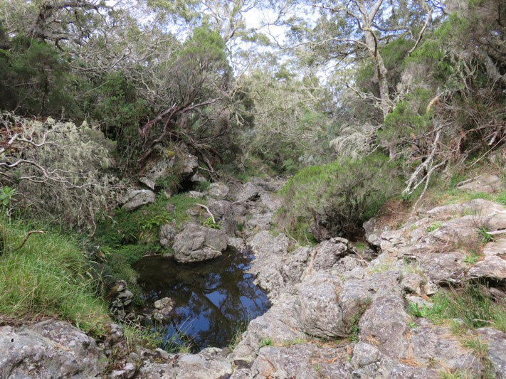 Ravine IMG_0245