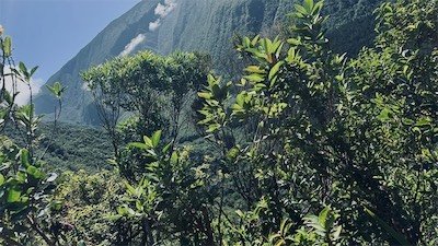 IMG_9142.jpeg