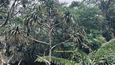 IMG_9149.jpeg