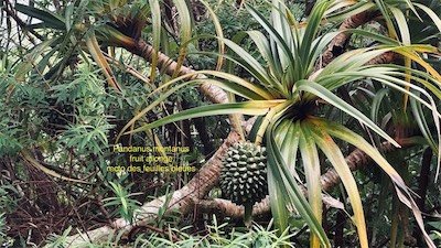 IMG_9150.jpeg