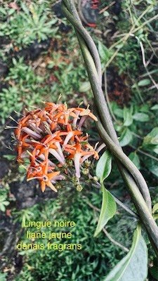 IMG_9151.jpeg