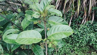 IMG_9152.jpeg