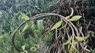 IMG_9153.jpeg