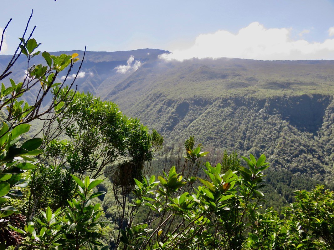19. Vue vers lest sur l'autre côté de la Ravine Basse-Vallée