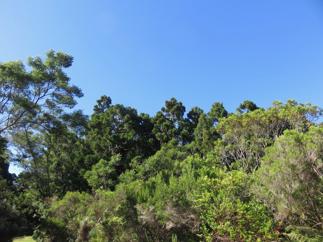 2. Lumière dans l'azur