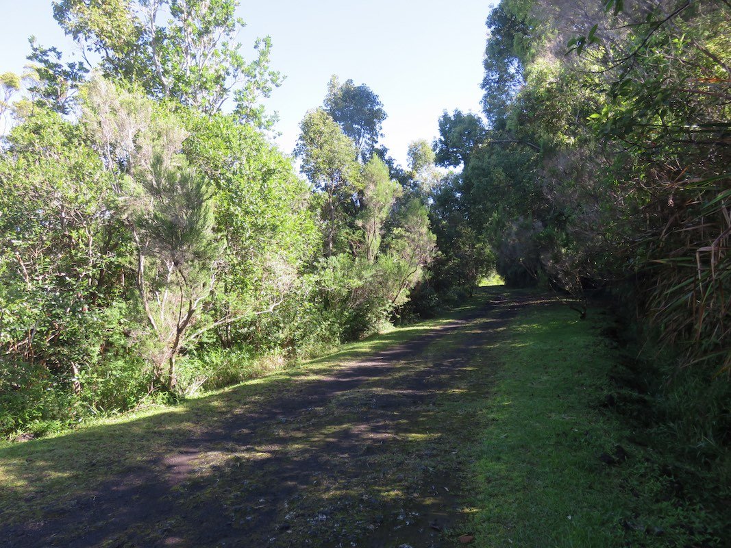 5. La piste