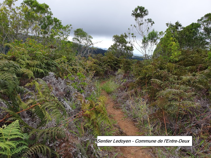 35- Le sentier.jpg