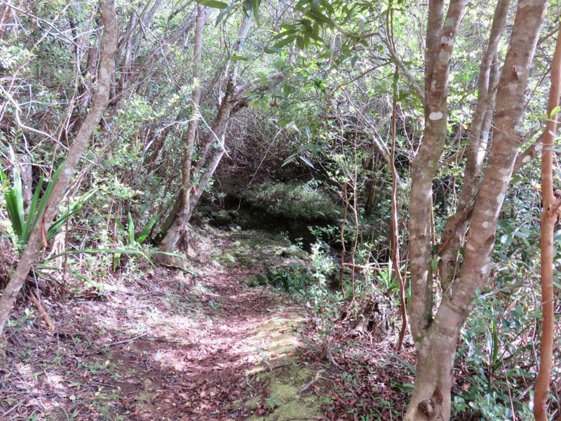 5. Le début du sentier.jpeg