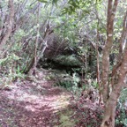 5. Le début du sentier.jpeg