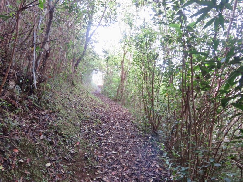 6. Le début du sentier.jpeg