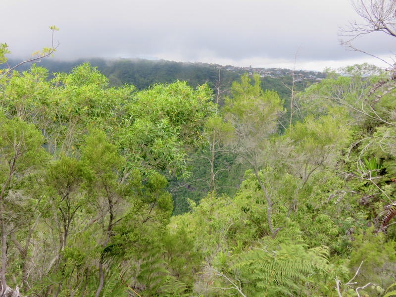 19. Au-dessus du Bras de la Plaine face à Bras de Pontho, Pont d'Yves.....jpeg
