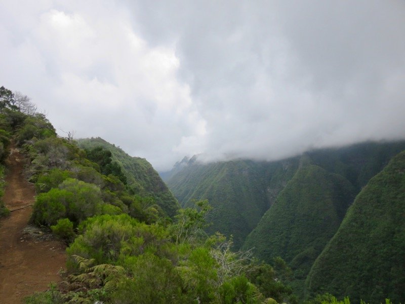 21. Vue vers l'amont du Bras de la Plaine IMG_3495.JPG.jpeg