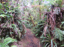10 Le sentier