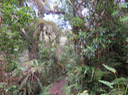 11 Le sentier
