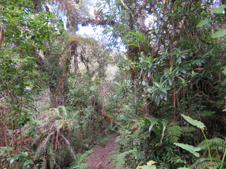 11 Le sentier