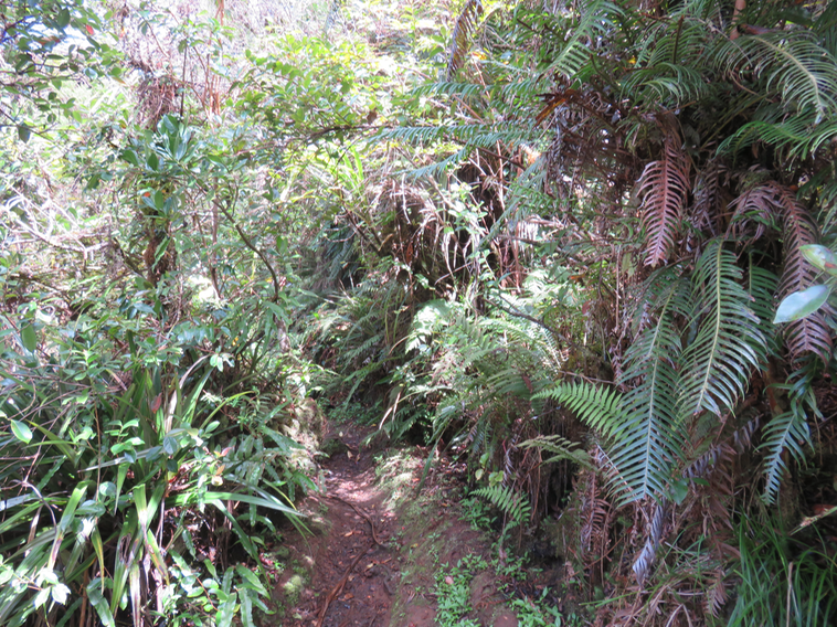 14 Le sentier