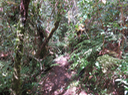 15 Le sentier