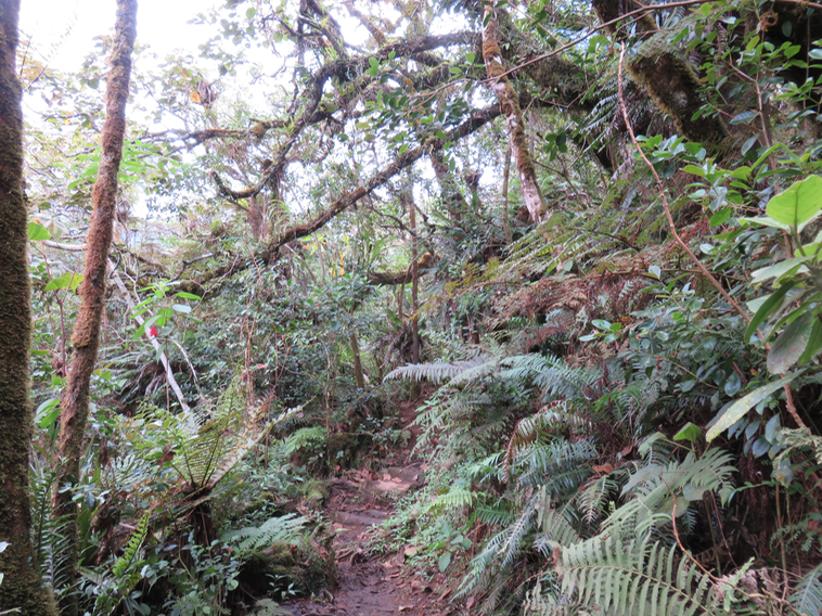 23 Le sentier
