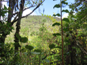 3 Le Piton de Bébour