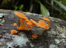 P1000118