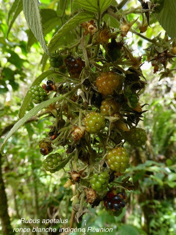 P1000188
