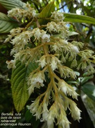 P1000217