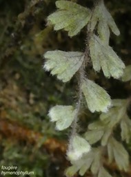 P1000316