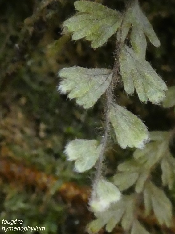 P1000316