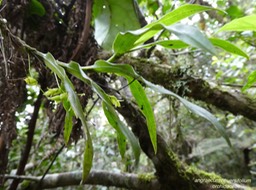 P1000384