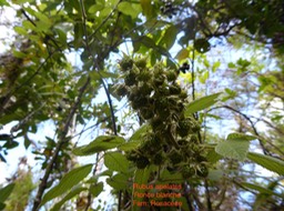 P1010471
