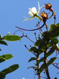 P1010473