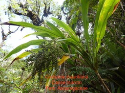 P1010475