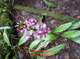 P1010489
