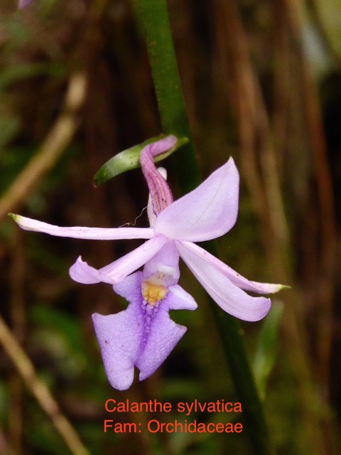 P1010493