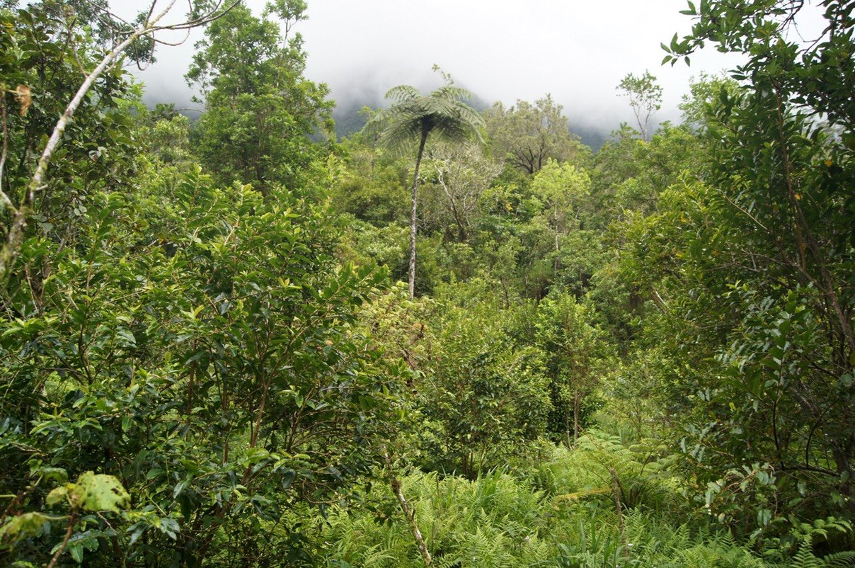 Paysage vers Grang Etang