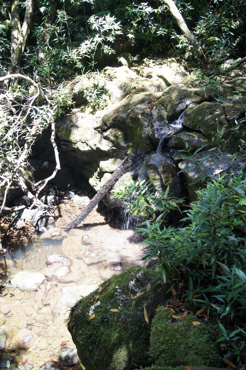 Ravine Batardeau