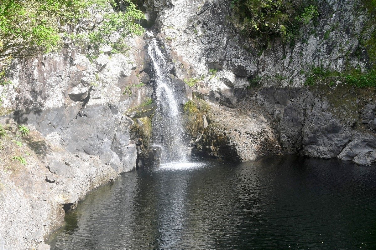 Bassin et cascade 1954.jpeg
