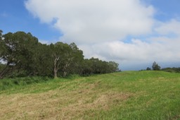 La Tamarianie - sous les nuages la côte ouest IMG_1854