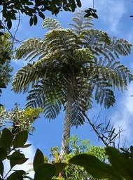 IMG_0568