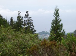 P1013237