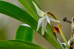 P1070579