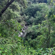 1. La ravine du Bras de Jeanne.jpeg